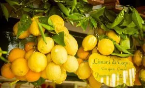 Lemons from capri island